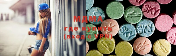 гашик Алексеевка