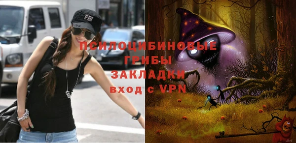 гашик Алексеевка