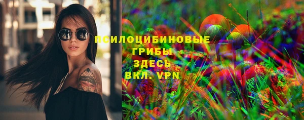 гашик Алексеевка