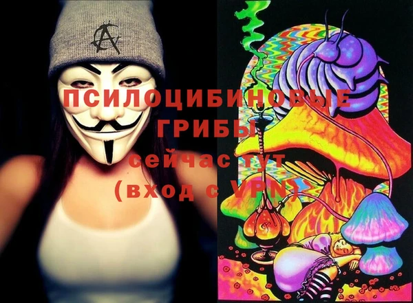 гашик Алексеевка