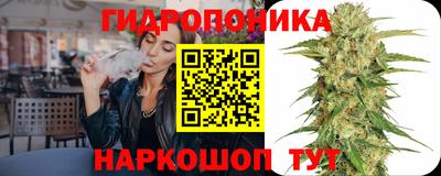 бошки Кимры