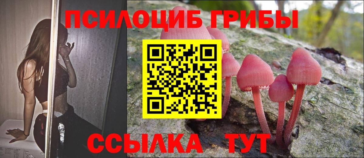Псилоцибиновые грибы Cubensis  Галлюциногенные грибы Psilocybe  Вход с VPN  Усолье-Сибирское 
