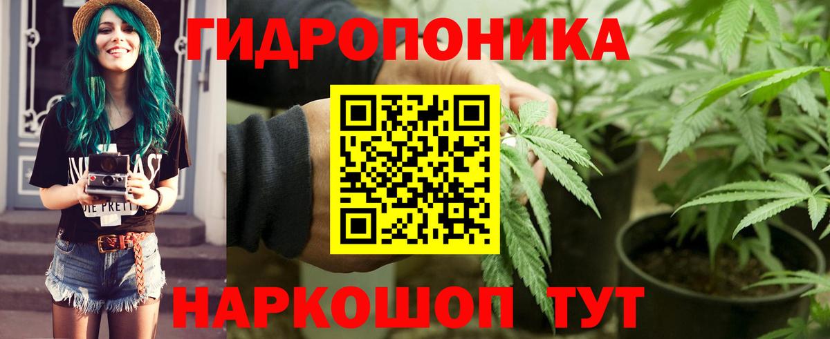 Конопля марихуана  Шишки марихуана LSD WEED  Шишки марихуана OG Kush  Усолье-Сибирское  Канабис план  Вход с VPN 